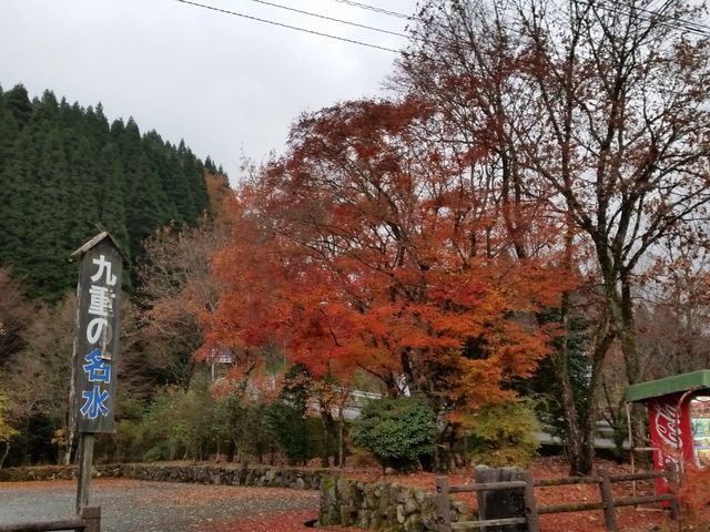 紅葉が美しい_あいのせ茶屋
