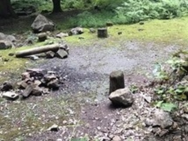 アクセルゼンカイさんの滑床キャンプ場の投稿写真1