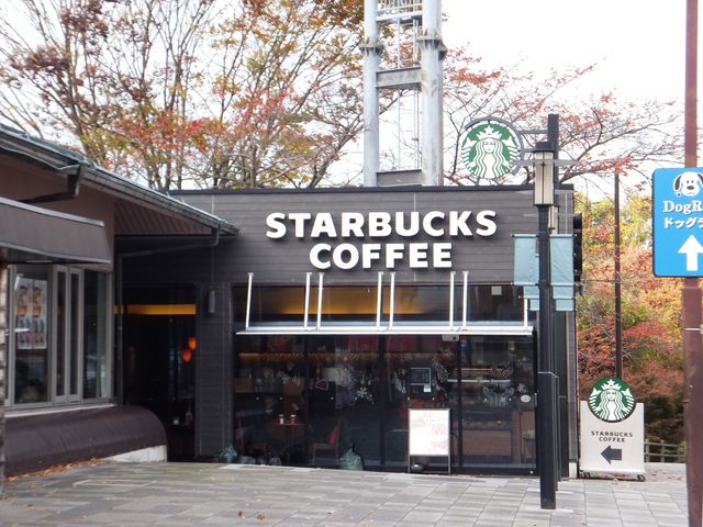窓にはクリスマス飾りが_スターバックス・コーヒー 多賀サービスエリア上り線店
