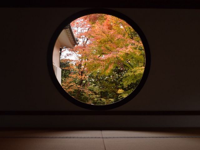 まだ、青い部分もあるが部屋が薄暗くなっており、外の明るさが丸く畳に映るのもなかなかの物でした!_源光庵