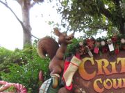 りすさんのグランマ・サラのキッチンの投稿写真1