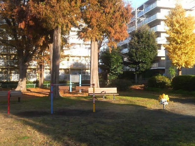 東原公園の紅葉_東原第1公園