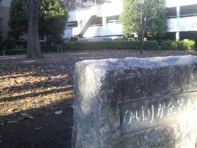 ひばりが丘第4公園_ひばりが丘第4公園