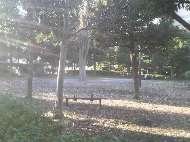 ひばりが丘第4公園_ひばりが丘第4公園