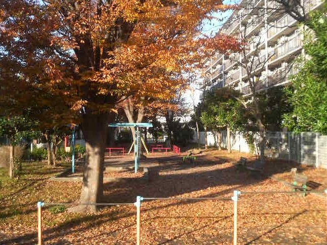 ひばりが丘4-1多目的広場の紅葉_ひばりが丘4-1多目的広場