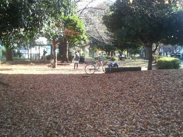 東原さくら公園_さくら公園