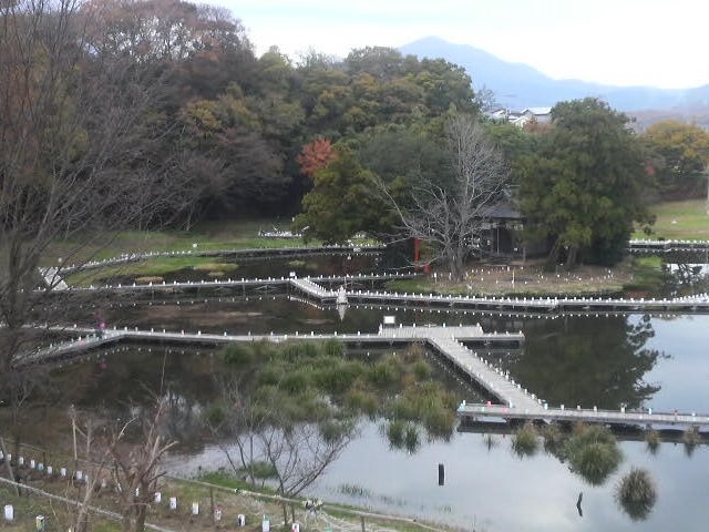 厳島湿生公園、イベント準備中_厳島湿生公園