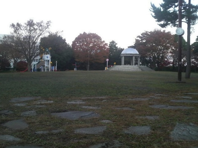 相模大野中央公園_相模大野中央公園