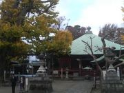 さとけんさんの勝福寺の大イチョウの投稿写真1