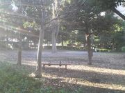 さとけんさんのひばりが丘第4公園の投稿写真2