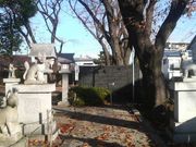 さとけんさんの桜森稲荷神社の投稿写真2