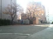 さとけんさんの中町公園の投稿写真3