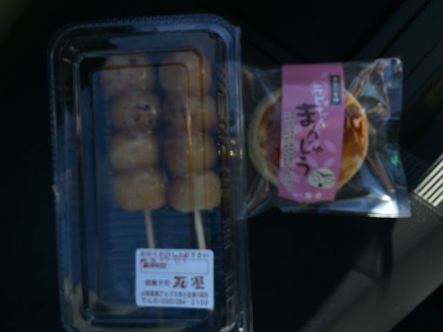 みたらし団子もお餅が柔らかく、タレもあっさりして美味しかったですよ。_瓦屋