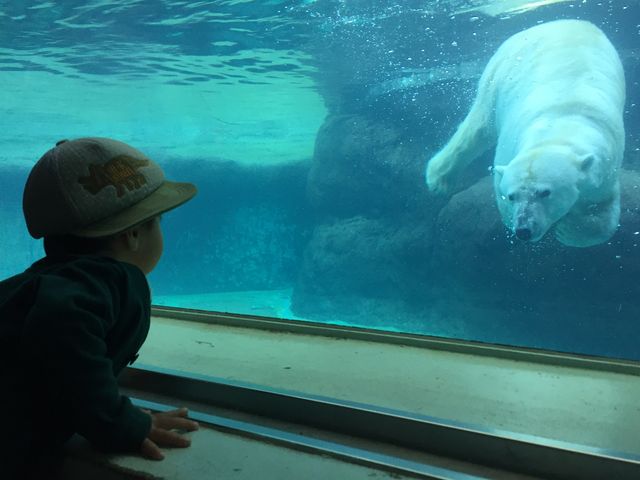 にらめっこ_豊橋総合動植物公園(のんほいパーク)