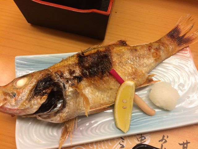 大きなノドグロの塩焼き_歩寿司 本家