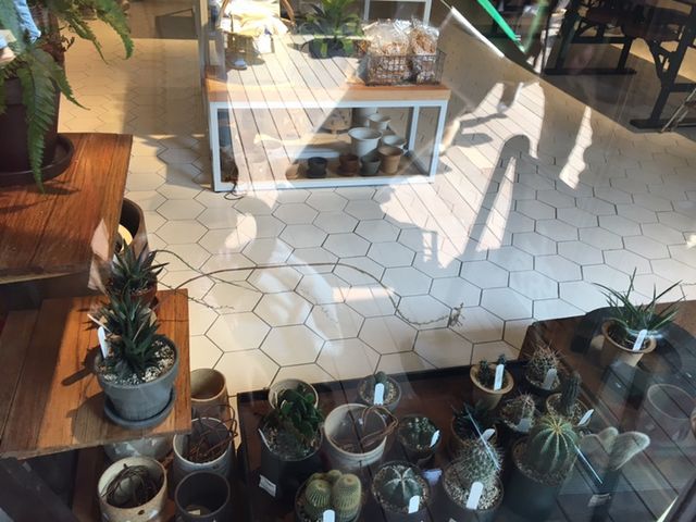 オシャレなお店ばかり_MARINE & WALK YOKOHAMA(マリン アンド ウォーク ヨコハマ)