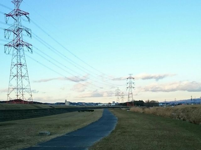 tyrelliさんの境川緑地の投稿写真1