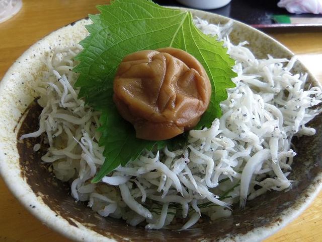 しらす丼もなかなか美味しいw_もとや