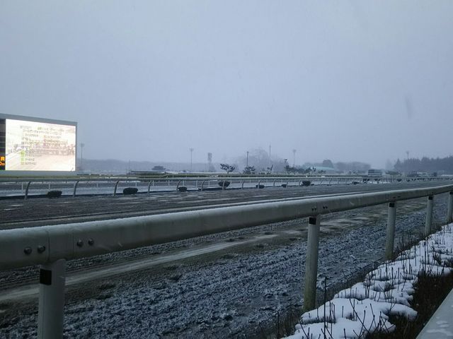 コース前_水沢競馬場