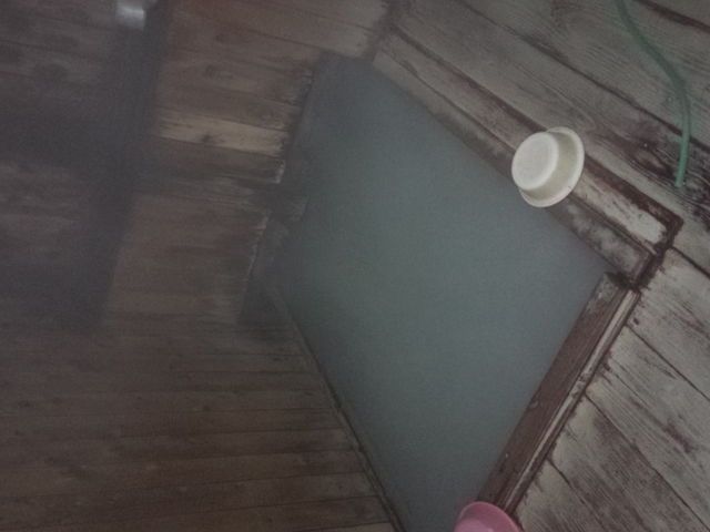 むじなの湯はぜひうすめず_むじなの湯