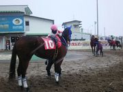 名無しさんの水沢競馬場の投稿写真8
