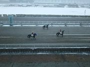 名無しさんの水沢競馬場の投稿写真9