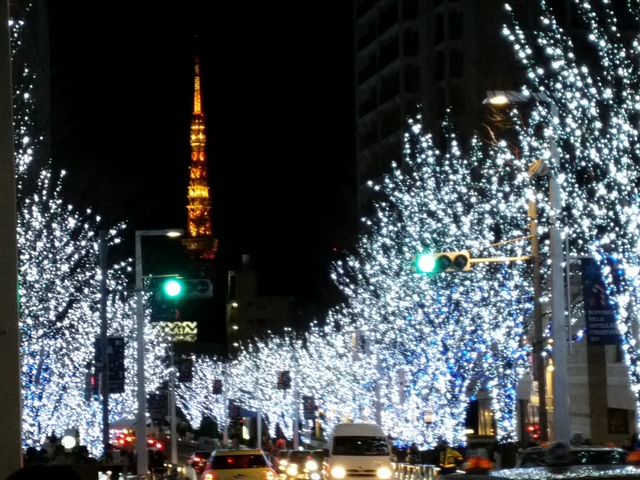東京タワーが遠くに見えます_六本木ヒルズ