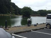 やまなかさんのBerryParkinFISHON!王禅寺の投稿写真2