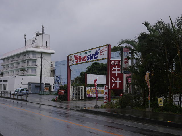 ダチョウらんど沖縄_ダチョウらんど