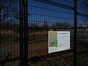 くまらさんのアサザ(水元公園)の投稿写真1