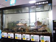 くまらさんの水元かわせみの里(水質浄化センター)の投稿写真4
