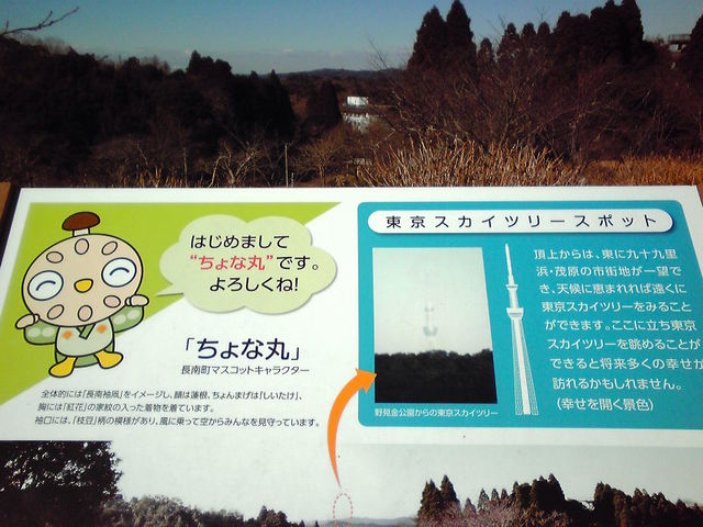 スカイツリーの見える方向です_野見金公園