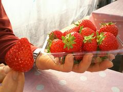 カメチャンさんのフルーツガーデンゆうへの投稿写真1