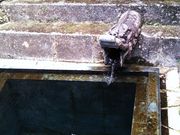 ひーぽんさんの龍樋の投稿写真1