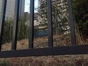 Kuda12さんのお茶の水貝塚の投稿写真1