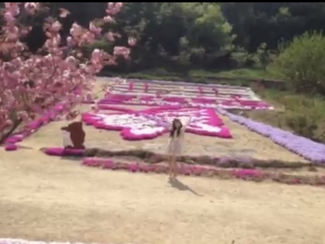 芝桜_カフェ ジャルダン