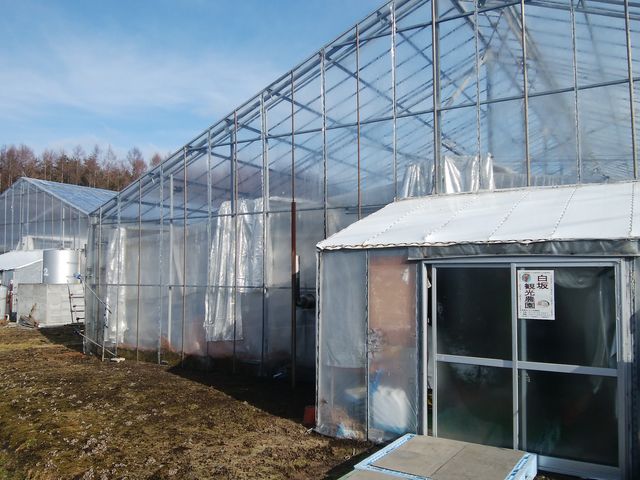 ビニールハウス入り口_泉清水いちご観光農園
