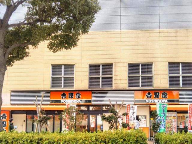 吉野家 お台場デックス東京ビーチ店_吉野家 お台場デックス東京ビーチ店