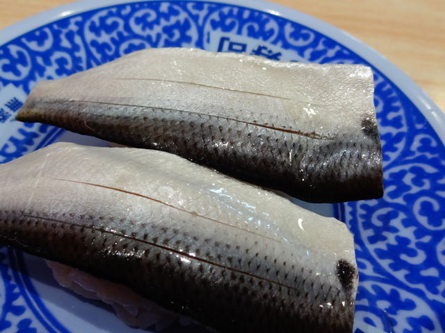 こはだ_くら寿司 江戸川店