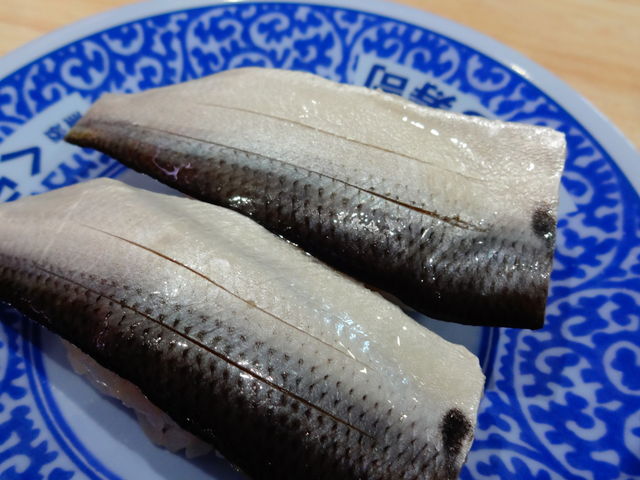 こはだ_くら寿司厚木店