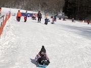 りゅうちゃんさんのリステルスキーファンタジアの投稿写真1