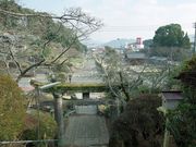 JOEさんの武雄神社の肥前鳥居の投稿写真1