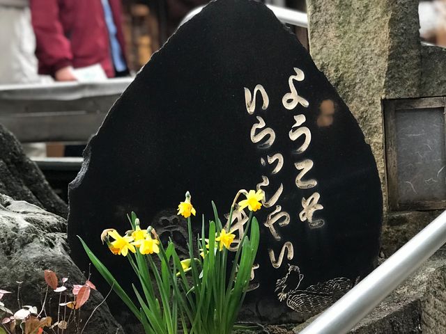【雀のお宿】_雀のお宿