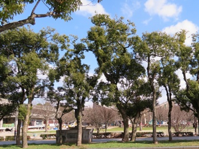 佐賀城公園 図書館・体育館付近_佐賀城公園