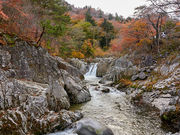 まーさんの夏井川渓谷の投稿写真1
