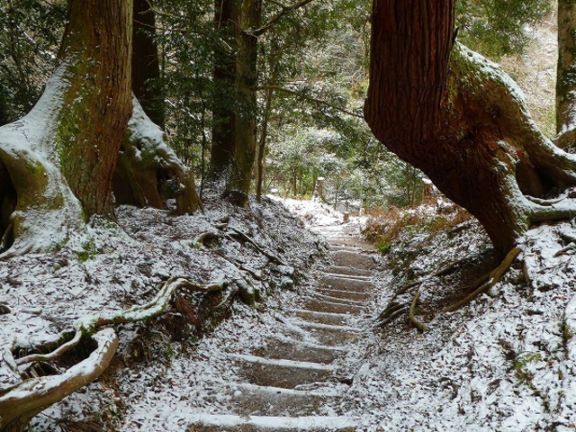 京都府京都市左京区・鞍馬山_鞍馬山