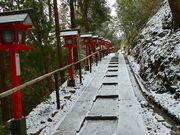 マックさんの鞍馬寺の投稿写真16