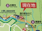 ミッシェルさんの道の駅おのこの投稿写真2
