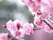 はるなさんの佐布里池の投稿写真1