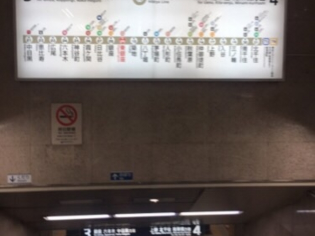 ホームへの降り口です。_東京メトロ日比谷線 東銀座駅